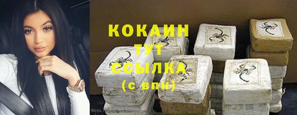 прущие грибы Белокуриха