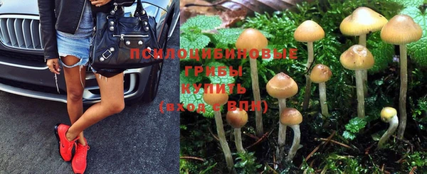 шишки Богданович