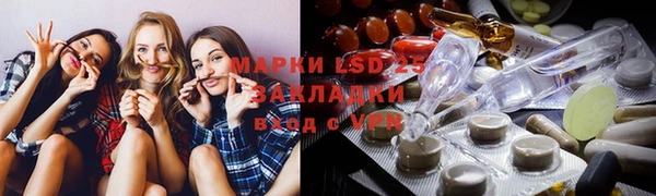 прущие грибы Белокуриха